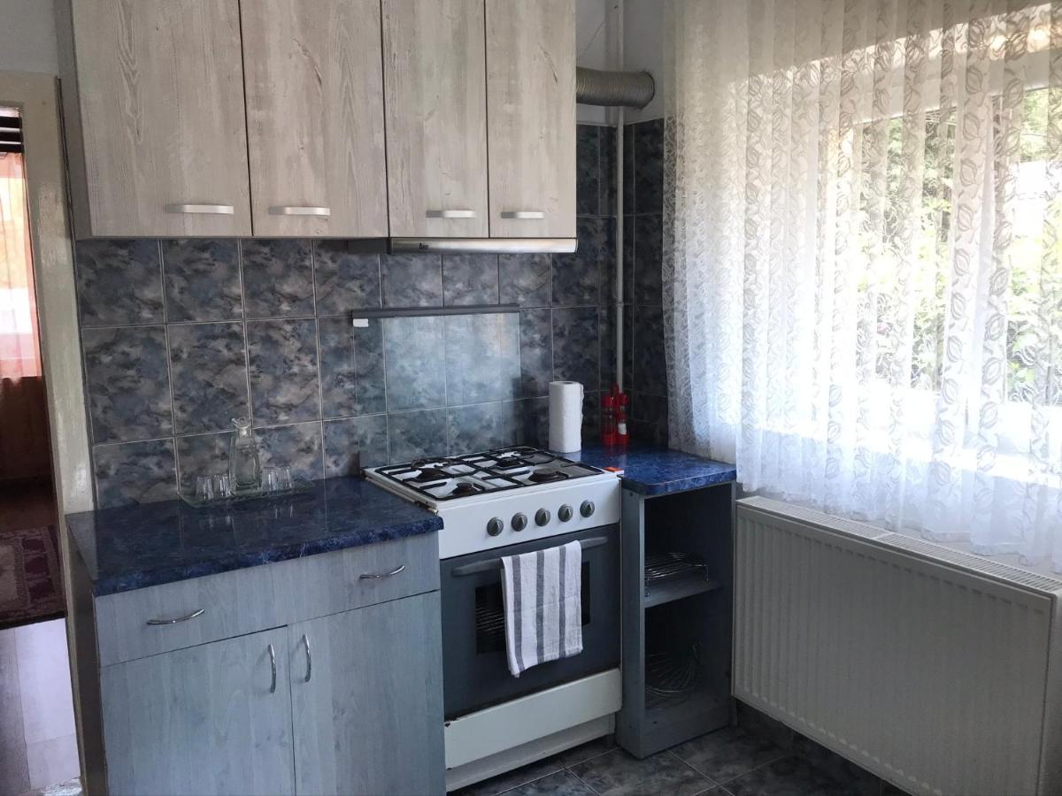 Apartament Andreea Appartement Târgu-Mureş Buitenkant foto